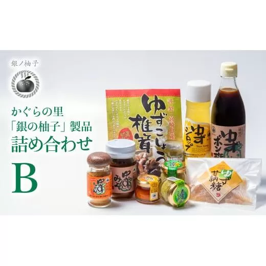 (B)「銀の柚子」製品詰め合わせ ゆずこしょう・ゆずポン酢など[1.4-7]柑橘 フルーツ 調味料 ギフト 宮崎県西都市