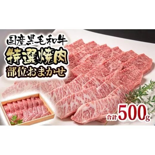 国産黒毛和牛 希少部位を含む特選焼肉セット 500g 部位おまかせ[1.6-35]牛肉 西都市 宮崎県 国産牛 ビーフ 肉