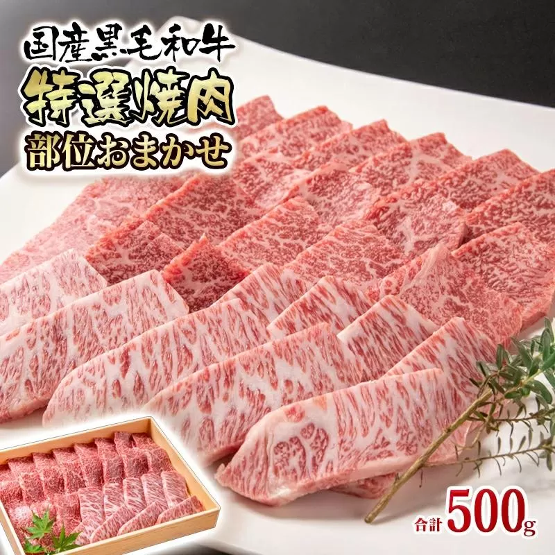 黒毛和牛 希少部位を含む特選焼肉500g 部位おまかせ 有田牧場＜1.6-35＞
