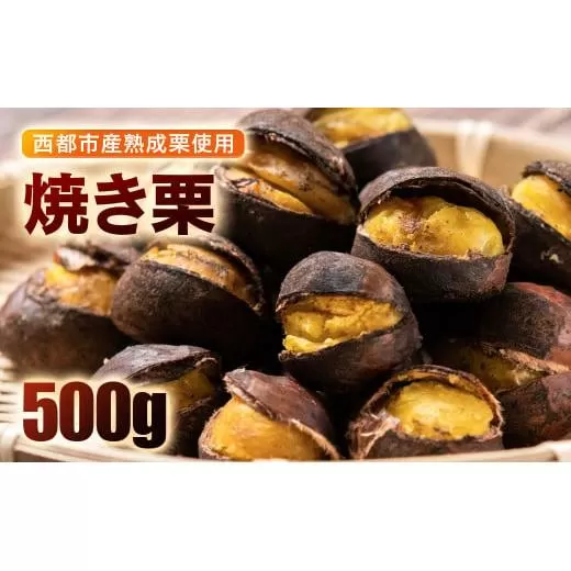 秋の味覚！ 熟成焼き栗 2パック 合計500g＜1-288＞くり 栗  国産 生栗 果物 フルーツ スイーツ★