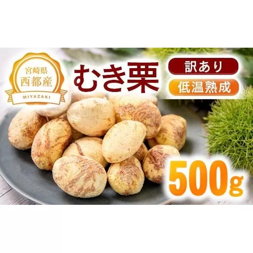西都市産『低温熟成栗（むき栗）』　500ｇ（訳あり）【先行予約】<1.1-19>