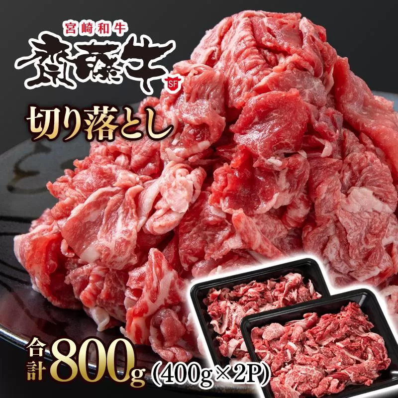 宮崎和牛「齋藤牛」切り落とし800g(400g×2パック)<1.2-61>牛肉 肉 ビーフ 宮崎県産 切落とし 宮崎県西都市
