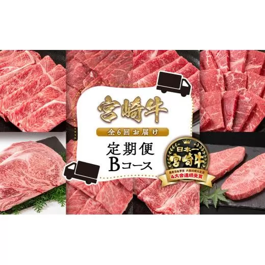 1月発送開始[6ヶ月定期便]宮崎牛Bコース 牛肉 焼肉 すき焼き ステーキ等 ミヤチク 内閣総理大臣賞4連覇[12-2]すき焼肉 すき焼き肉●