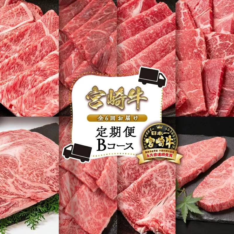【６ヶ月定期便】宮崎牛Bコース 牛肉 焼肉 すき焼き ステーキ等 ミヤチク 内閣総理大臣賞4連覇＜12-2＞すき焼肉 すき焼き肉●