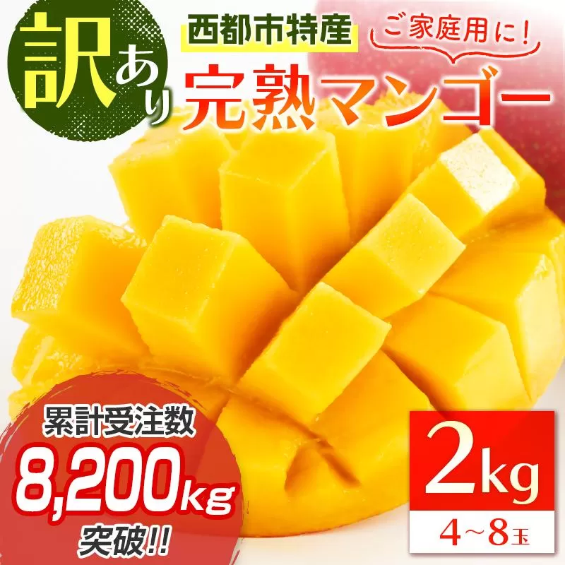 【先行予約】訳あり「ご家庭用」宮崎県西都市産完熟マンゴー2kg ＜2-95＞2026年発送