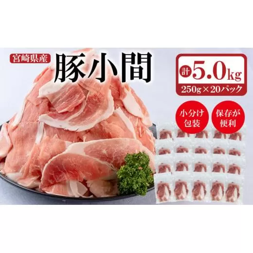 宮崎県産豚肉 小間切れ5kg 小分け 250g×20パック[2-21]豚肉 細切れ 小間切れ 大容量 宮崎県産 国産 宮崎県西都市