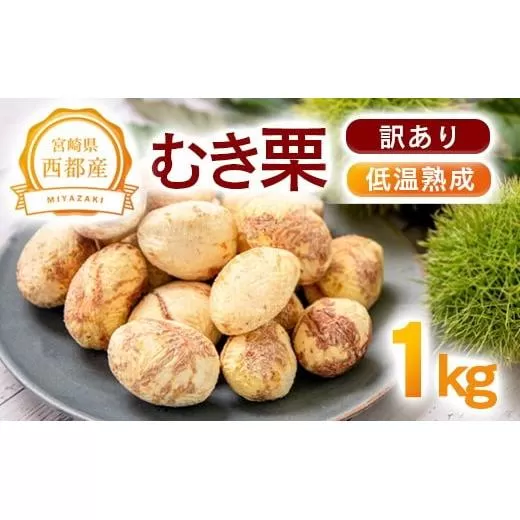 西都市産『低温熟成栗（むき栗）』1kg（訳あり）【先行予約】<2.1-9>