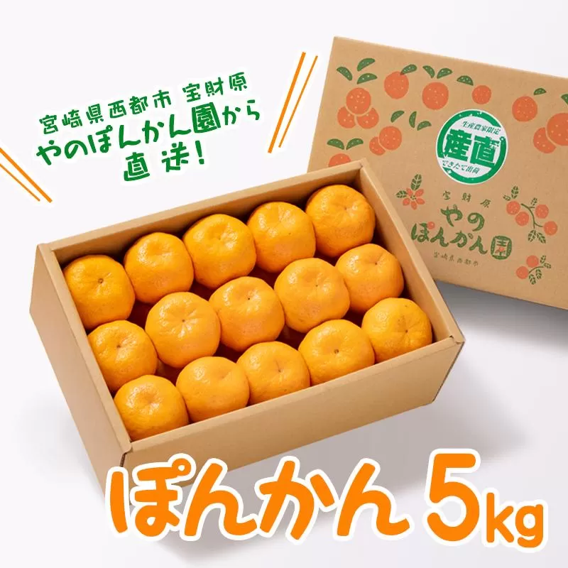 ＼数量限定／西都市産ぽんかん 5kg　宝財原「やのぽんかん園」《先行予約》<1.4-9>果物 くだもの フルーツ 柑橘 ぽんかん 宮崎県西都市