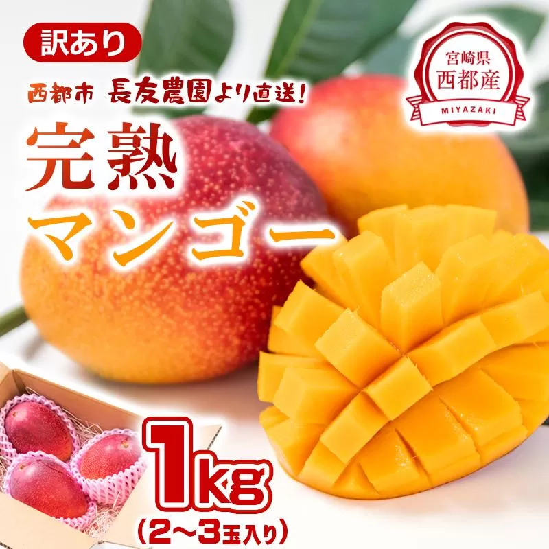 先行予約【長友農園】訳あり家庭用完熟マンゴー1kg 2～3玉 宮崎県西都 産生産者直送 宮崎県 完熟マンゴー　2026年発送＜1.2-59＞