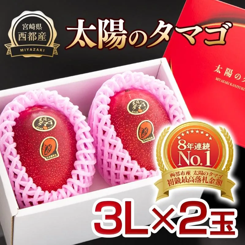 【先行予約】最高級ブランド『太陽のタマゴ』3L×2個【糖度15度以上】宮崎県西都市産完熟マンゴー 2027年発送＜26-6a＞