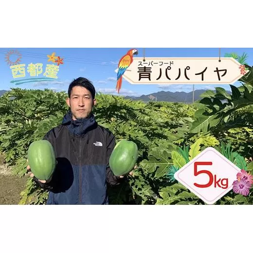 【健康志向の方おすすめ！】安達農園　西都市産『青パパイヤ』先行予約＜1-234＞西都市 果物 フルーツ 健康志向