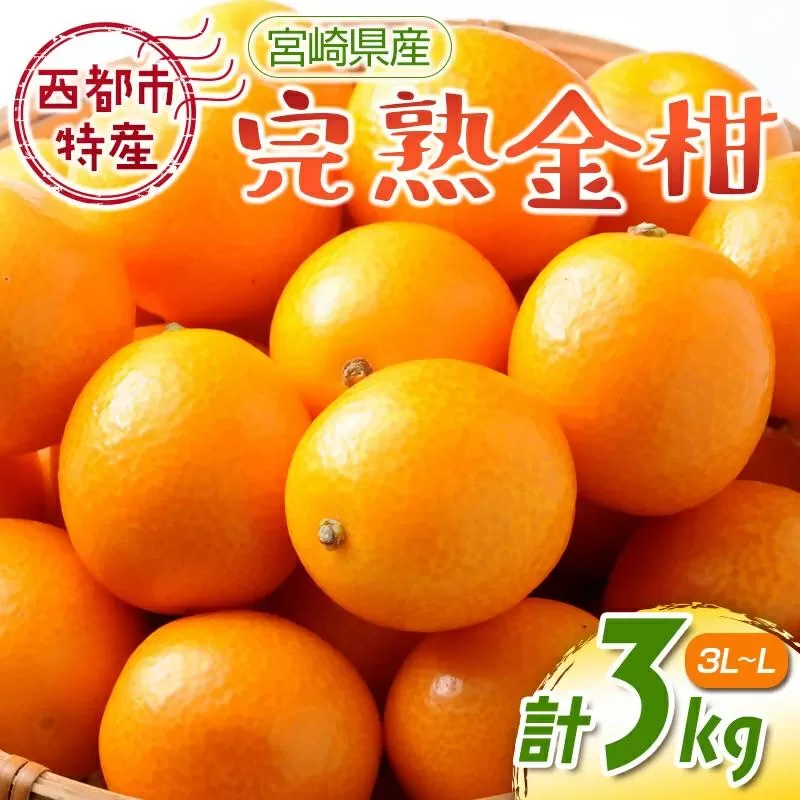【先行予約】宮崎県西都市産 完熟きんかん3kg（3L～L）　2026年発送＜1.2-41＞