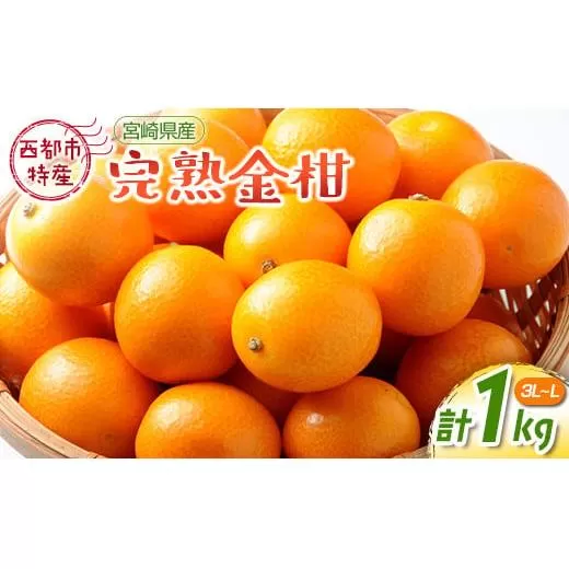 [先行予約]宮崎県西都市産 完熟金柑 きんかん1kg(3L〜L)西都市特産品[1-233]果物 くだもの 柑橘系 フルーツ 宮崎県 西都市