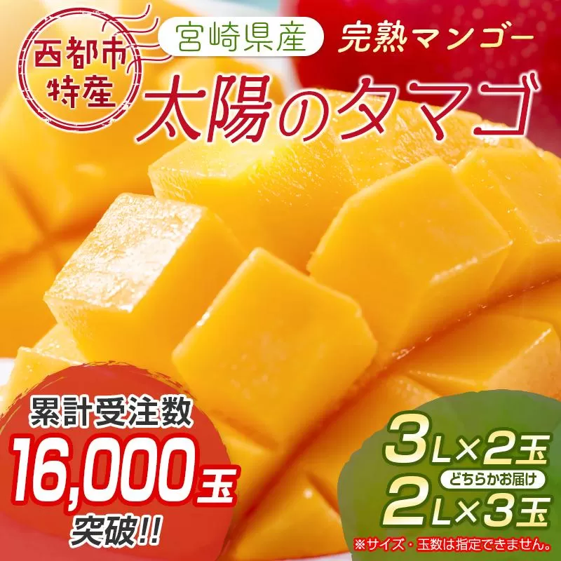 2026年発送　最高級ブランド『太陽のタマゴ』3Lサイズ2個or2Lサイズ3個【糖度15度以上】宮崎県西都市産完熟マンゴー＜3-48＞【先行予約】