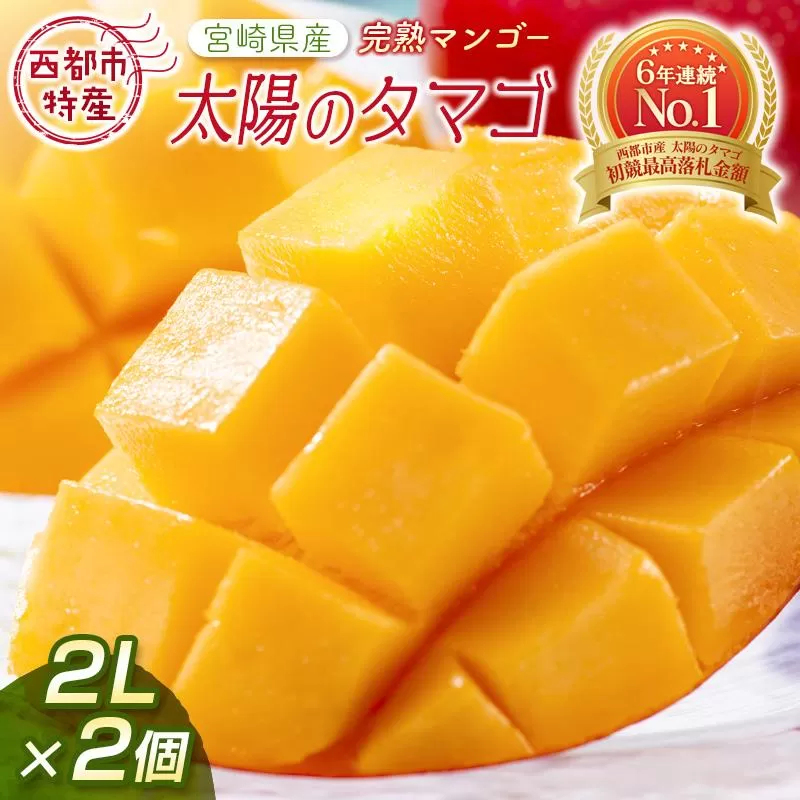 【先行予約】最高級ブランド『太陽のタマゴ』2L×2個【糖度15度以上】宮崎県西都市産完熟マンゴー ＜2-76＞2026年発送