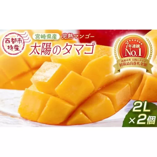【先行予約】最高級完熟マンゴー 太陽のタマゴ 2Ｌ×2玉 西都市特産＜2-76＞2026年発送 果物 くだもの フルーツ 宮崎県 西都市