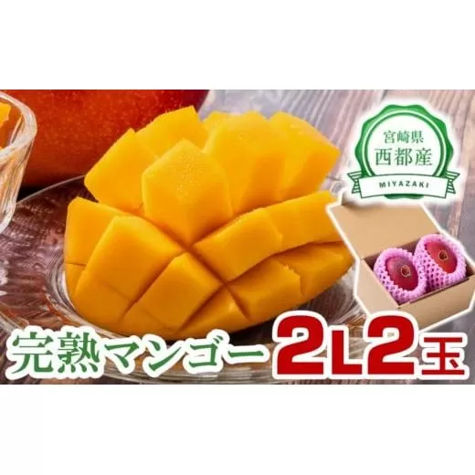 完熟マンゴーセット2L×2玉 糖度12度以上!西都市産 [先行予約]2026年発送[1.3-6]果物 くだもの フルーツ 宮崎県 西都市