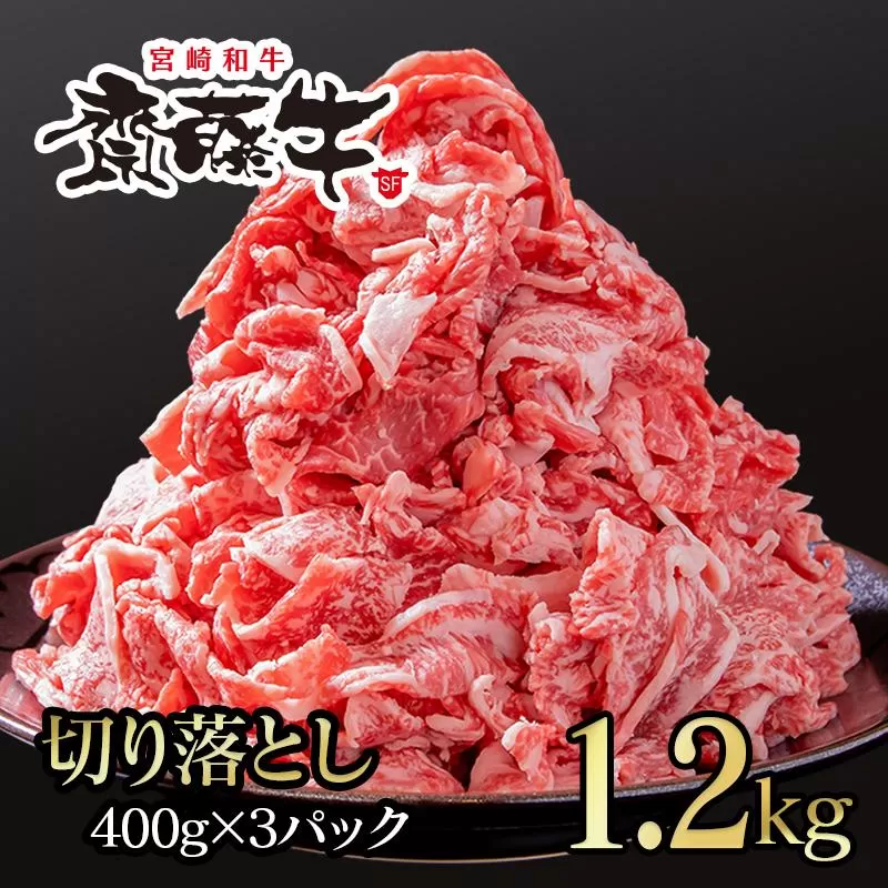 黒毛和牛「宮崎和牛 齋藤牛」切り落とし1.2kg（400g×3）小分け 国産牛肉＜1.8-9＞