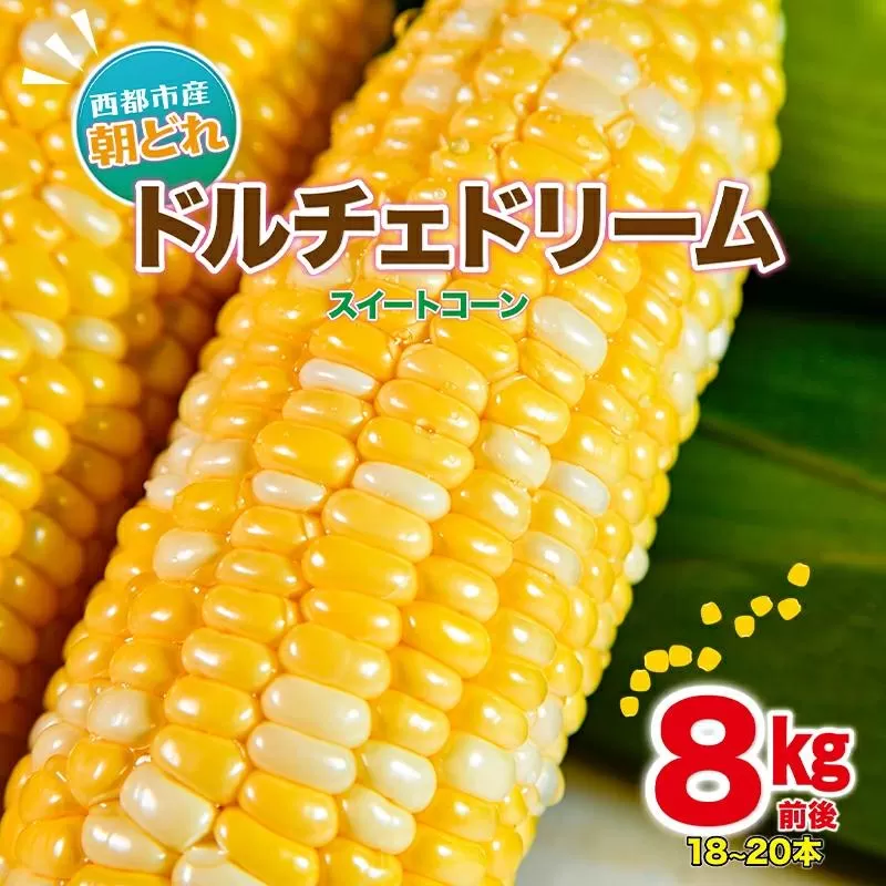 初夏の味覚！鮮度が命 村田さん家の朝どれスイートコーン『ドルチェドリーム』8kg前後 生産者直送 5月発送開始【先行予約 】＜1.2-44＞