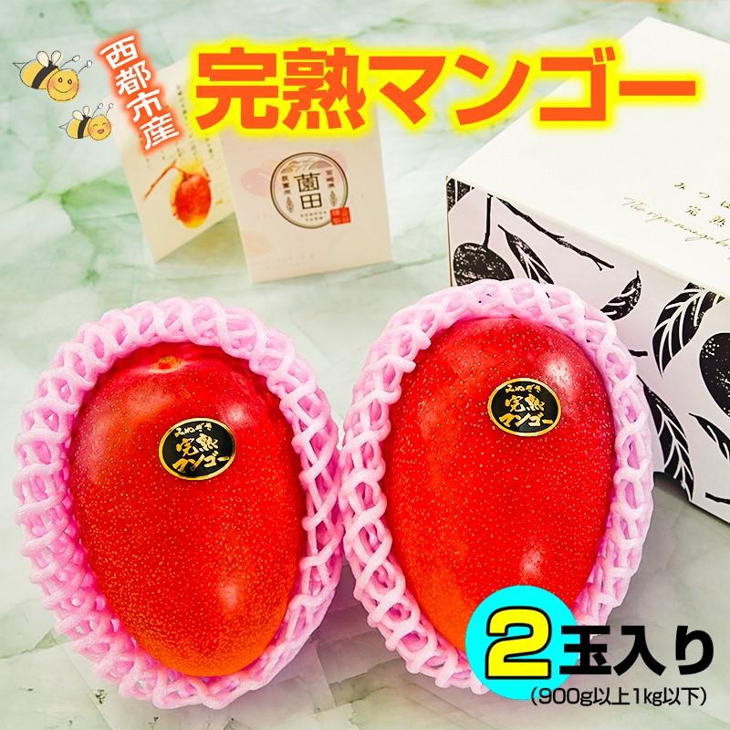 西都市産完熟マンゴー2玉（900g～1kg）薗田農園 【先行予約】＜1.8-29＞2026年発送