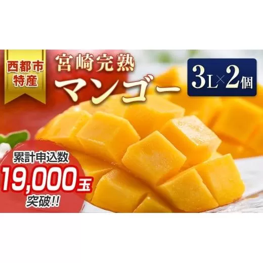 【先行予約】西都市産完熟マンゴー3L×2玉 2026年発送＜1.5-132＞果物 くだもの フルーツ 宮崎県 西都市