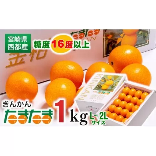 ＼先行予約／糖度16度以上！『完熟きんかんたまたま』1kg　宮崎県西都市産<1-136>果物 フルーツ 柑橘 くだもの