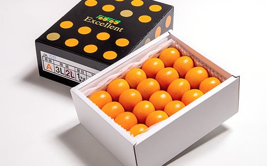 先行予約】糖度18度以上！宮崎金柑の最高級ブランド『完熟きんかん