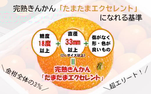 先行予約】糖度18度以上 宮崎金柑の最高級ブランド『完熟きんかん