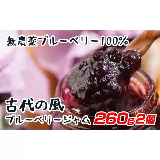 古代の風『無農薬ブルーベリージャム』Big 260g×2個<1-131>果物 くだもの フルーツ 加工品 宮崎県 西都市