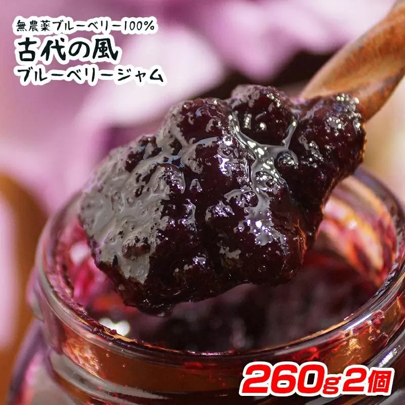 古代の風『無農薬ブルーベリージャム』Big 260g×2個<1-131>果物 くだもの フルーツ 加工品 宮崎県 西都市