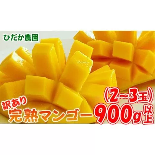[先行予約]ひだか農園「訳あり」完熟マンゴー(900g以上)宮崎県西都市産 2026年発送[1.2-47]果物 くだもの フルーツ マンゴー わけあり 西都市