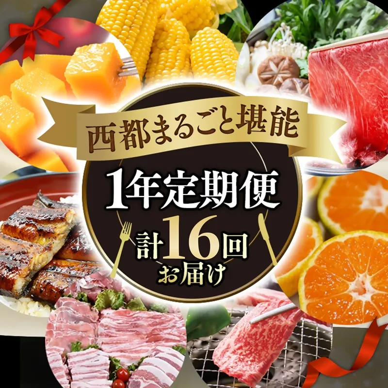 【季節の定期便E】12ヶ月毎月届く 西都まるごと堪能セット16品お届け!【プラチナコース】マンゴー 宮崎牛 うなぎ 牛肉 すき焼き 地鶏 鍋等<1-5a>