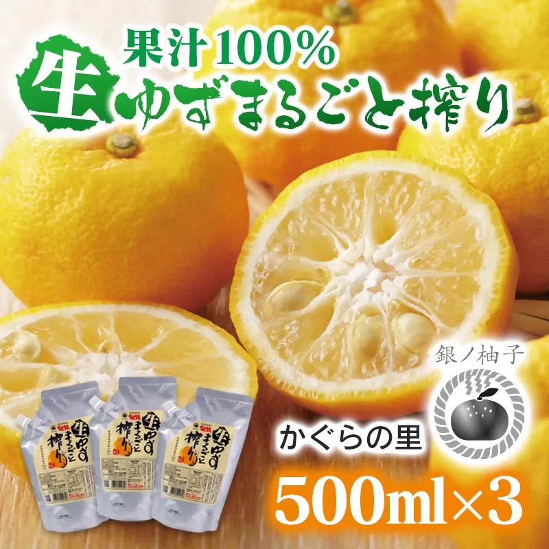 「銀の柚子」生ゆずまるごと搾りセット　果汁100％ 小分け かぐらの里＜4-6a＞