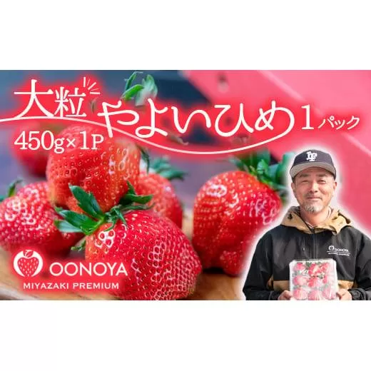 【先行予約】大粒厳選いちご やよいひめ 450g×1パック 苺大野屋 宮崎県西都市<1.5-232>苺  果物 くだもの フルーツ 九州 宮崎県産 西都市　
