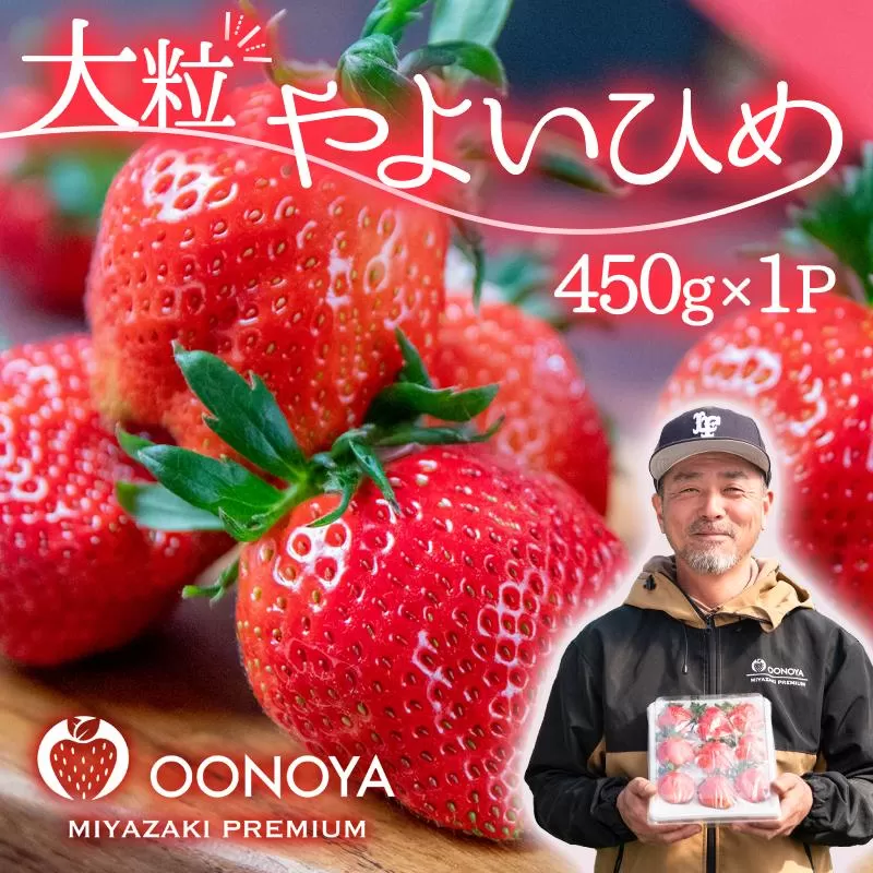 【先行予約】大粒厳選いちご やよいひめ 450g×1パック 苺大野屋 宮崎県西都市<1.5-232>苺  果物 くだもの フルーツ 九州 宮崎県産 西都市　