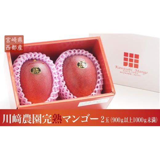 【先行予約】『川崎農園』完熟マンゴー 西都市 産生産者直送 2026年発送＜1.7-46＞