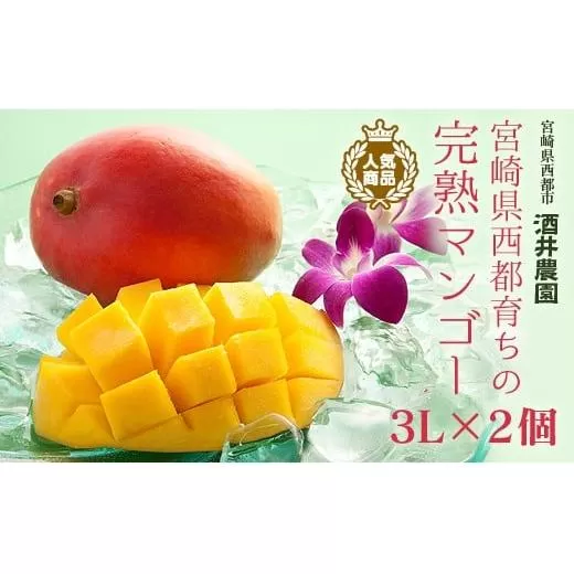 【数量限定】酒井農園　宮崎西都産完熟マンゴー3L×2個《産地直送》【先行予約】＜1.5-4＞