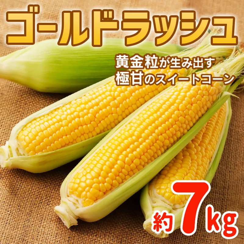【先行予約】ゴールドラッシュ 20本～24本入 約7kg 宮崎県西都市産 【井上農園】 とうもろこし スイートコーン＜18-21a＞