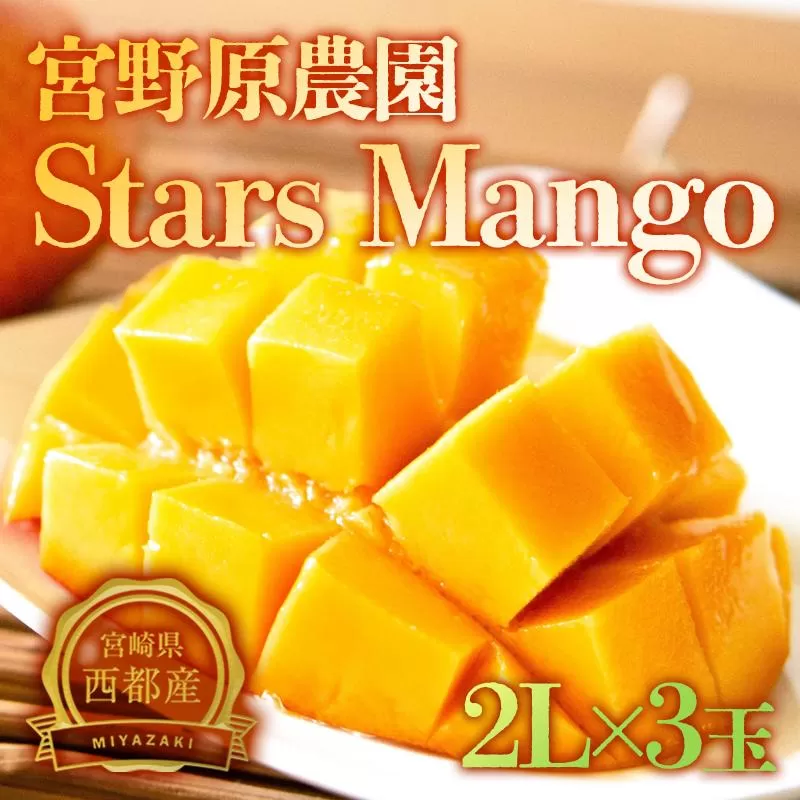 【先行予約】糖度13度以上！西都産完熟マンゴー『スターズマンゴー』2L×3個 宮野原農園　2026年発送分＜2-107＞果物 くだもの フルーツ ギフト 贈答用 宮崎県西都市