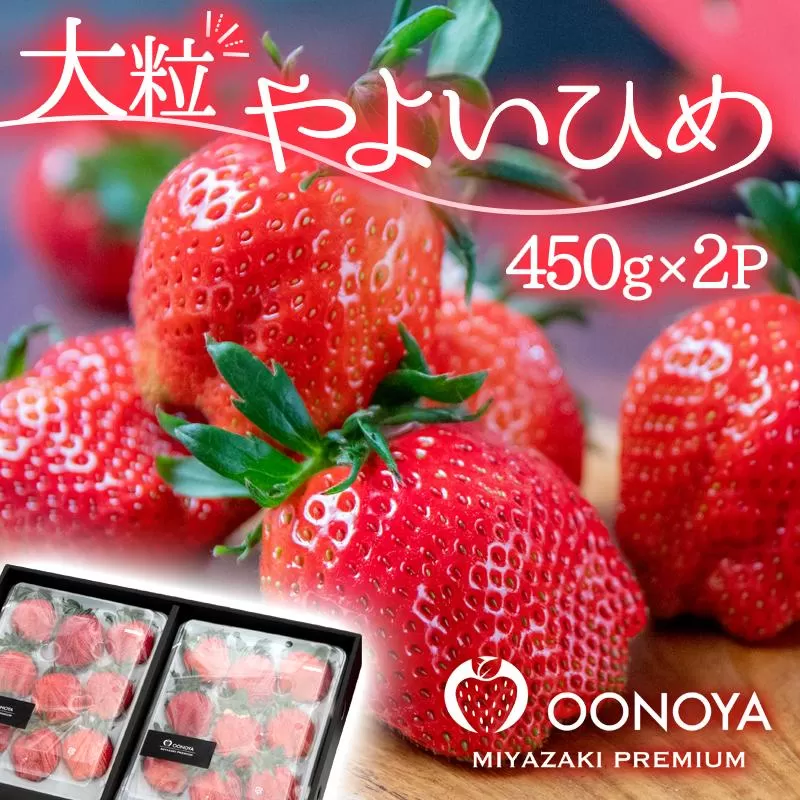 【先行予約】厳選大粒いちご やよいひめ ダブル（450g×2パック）苺大野屋 宮崎県西都市<3-51>苺 果物 くだもの フルーツ ストロベリー 贅沢品 西都市