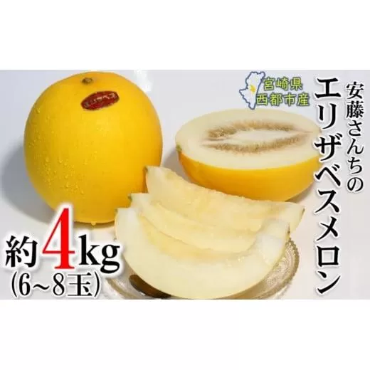 安藤さんちのエリザベスメロン 西都市産【先行予約】 2026年発送＜1.2-38＞果物 くだもの フルーツ 西都市