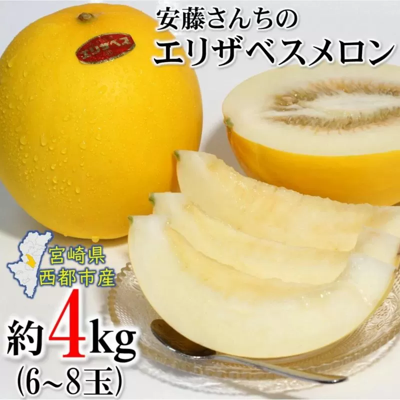 【先行予約】安藤さんちのエリザベスメロン約4kg すっきりした甘さ＜1.2-38＞2026年発送