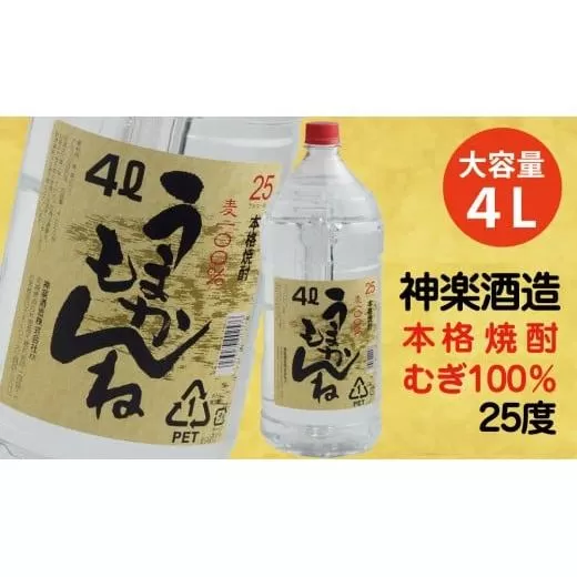 ビックサイズ！神楽酒造《うまかもんね》麦焼酎25度　4Ｌ<1.1-16>お酒 酒 アルコール 本格焼酎 焼酎 大容量 宮崎県 西都市