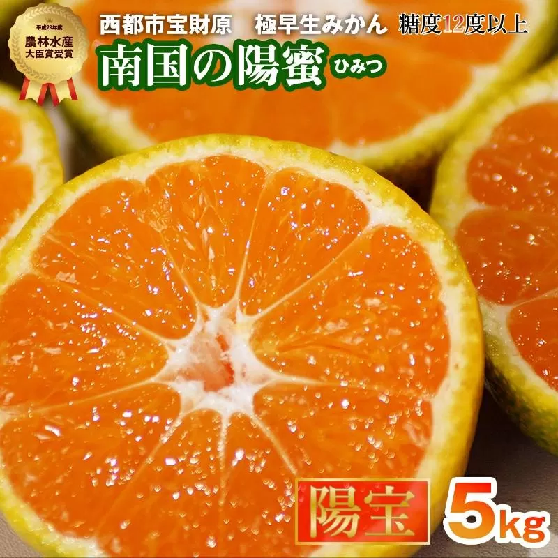 【先行予約】極早生みかん「南国の陽蜜・陽宝」5kg 糖度12度以上＜2-6a＞
