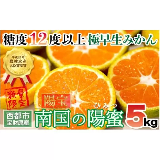 【先行予約】極早生みかん 5kg「南国の陽蜜・陽宝」宮崎県西都産＜1.5-169＞西都市 果物 フルーツ 柑橘