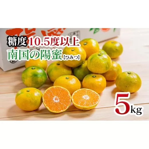 【先行予約】極早生みかん5kg「南国の陽蜜」宮崎県西都産 ミカン 蜜柑【糖度10.5度以上】 <1-220>果物 くだもの フルーツ 柑橘 西都市