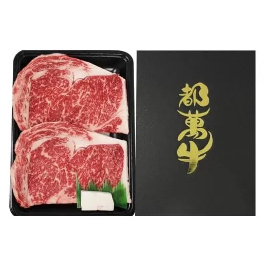 黒毛和牛『都萬牛』ロースステーキ2枚(約360g)[2-26]牛肉 肉 ビーフ ステーキ 国産牛 宮崎県 西都市