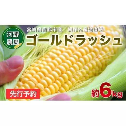 河野農園 朝どれスイートコーン『ゴールドラッシュ』約6kg【先行予約 2026年発送】＜1-42＞野菜 やさい とうもろこし 西都市産 宮崎県