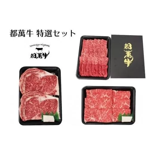 黒毛和牛『都萬牛』特選セット 焼肉500g・スライス300g・ステーキ300g[5-3]牛肉 肉 ビーフ 盛り合わせ 宮崎県 西都市