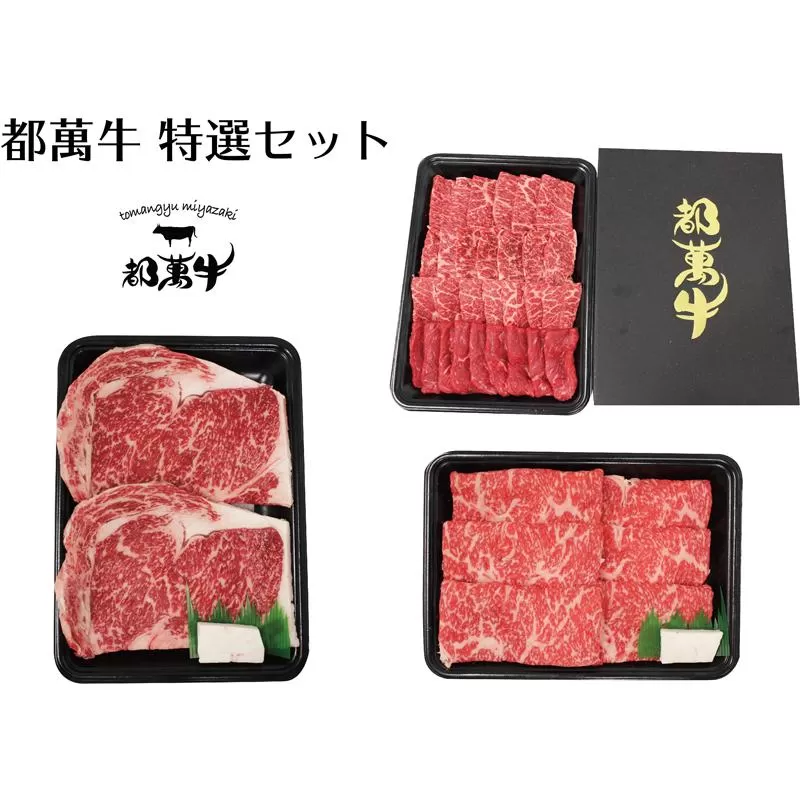【12月発送】黒毛和牛『都萬牛』特選セット 牛肉 すき焼き・焼肉・ステーキ 国産牛肉＜5-3＞